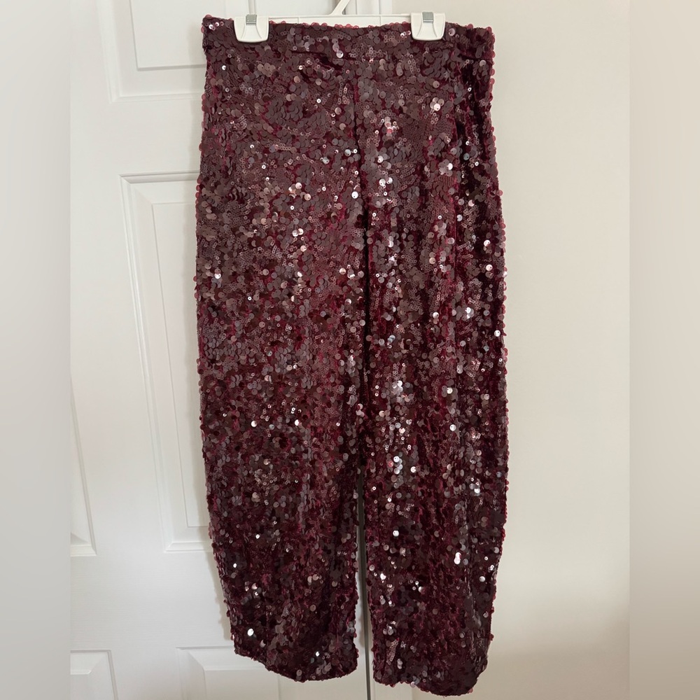 Zara Burgundy Sequin Barrel Pants